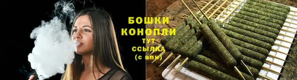 стафф Каменногорск