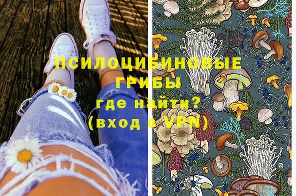тгк Каменка