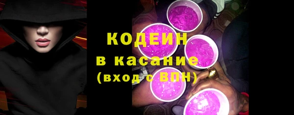 тгк Каменка