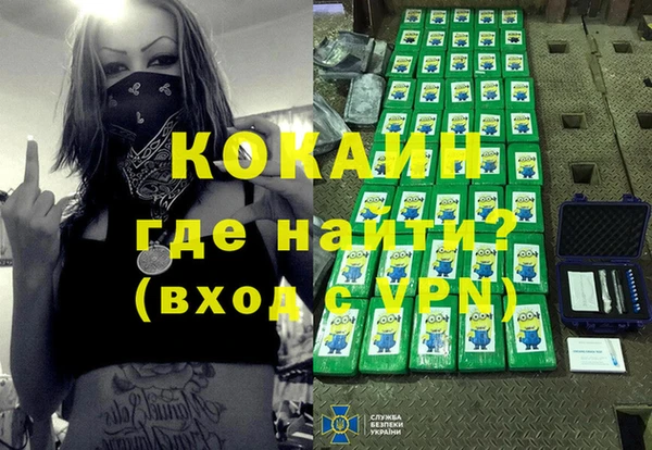тгк Каменка