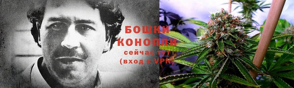 стафф Каменногорск