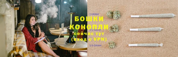 стафф Каменногорск