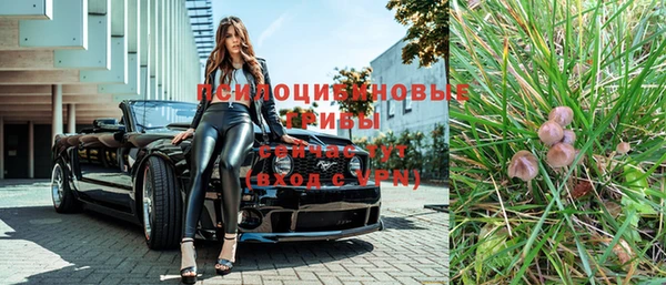 стафф Каменногорск