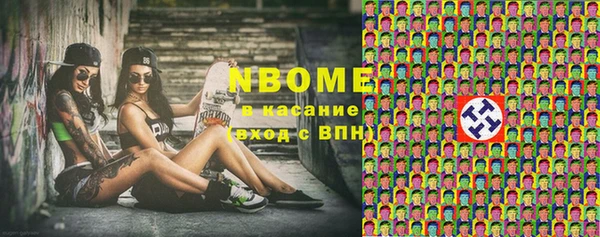 тгк Каменка