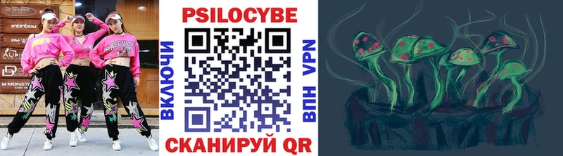 Купить где  Джанкой  Псилоцибиновые грибы Psilocybe 